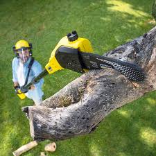 Lawn Maintenance Plans in Morganton, NC